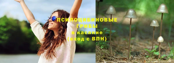 ПСИЛОЦИБИНОВЫЕ ГРИБЫ Абаза