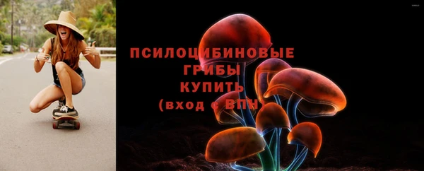 ГАЛЛЮЦИНОГЕННЫЕ ГРИБЫ Абдулино